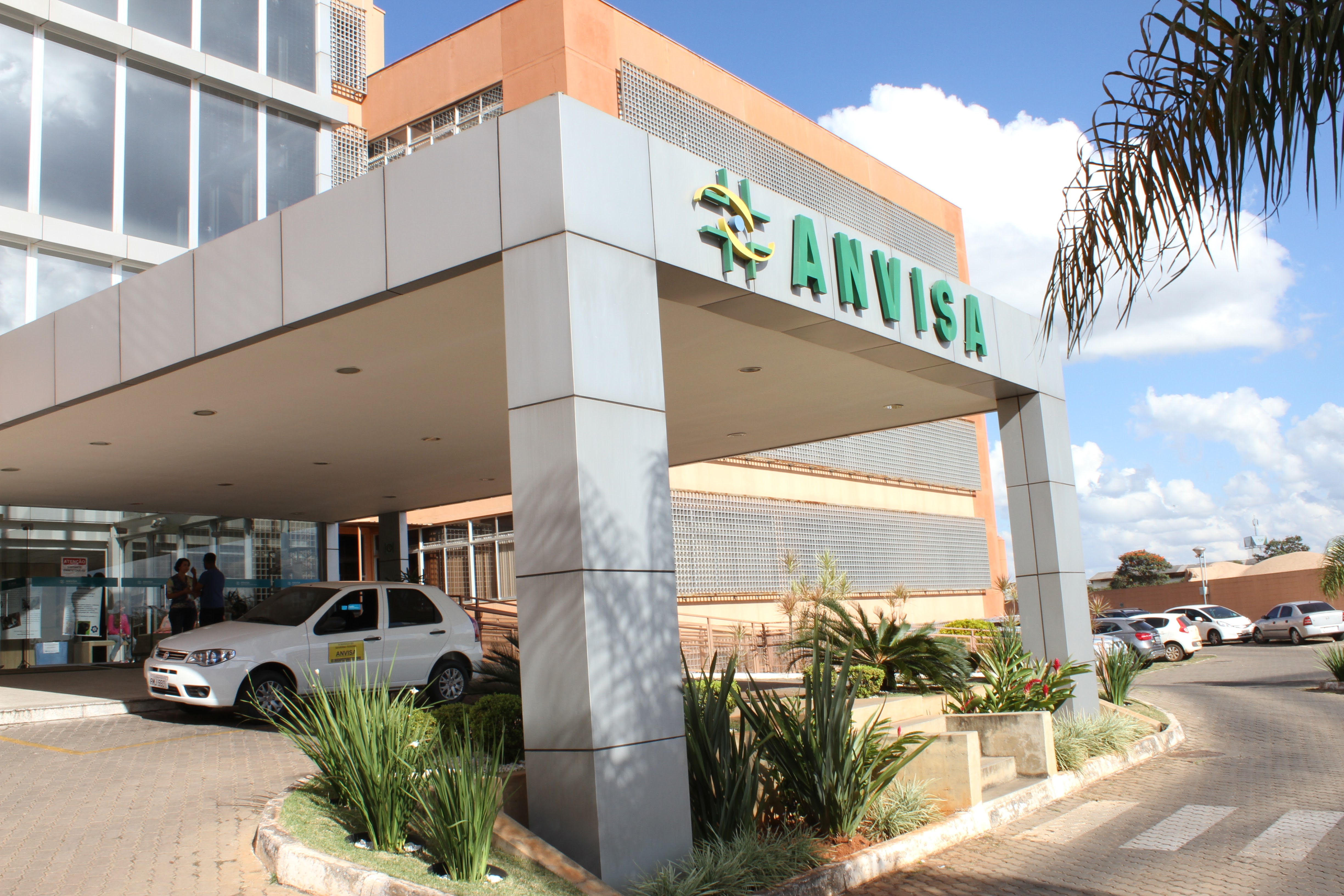 Anvisa Aprova Venda De Produtos Medicinais à Base De Cannabis No País ...