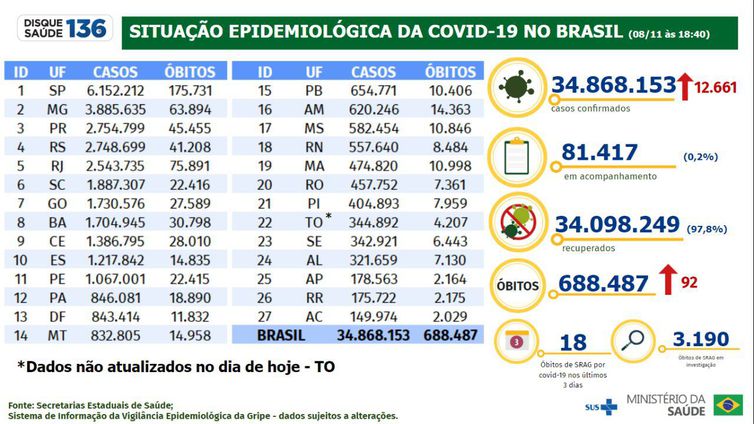 Covid-19: o Brasil estabiliza até agosto?, Brasil